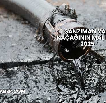 Şanzıman Yağ Kaçağının Maliyeti 2025