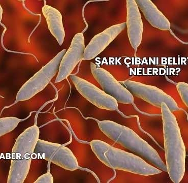 Şark Çıbanı Belirtileri Nelerdir?