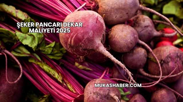 Şeker Pancarı Dekar Maliyeti 2025