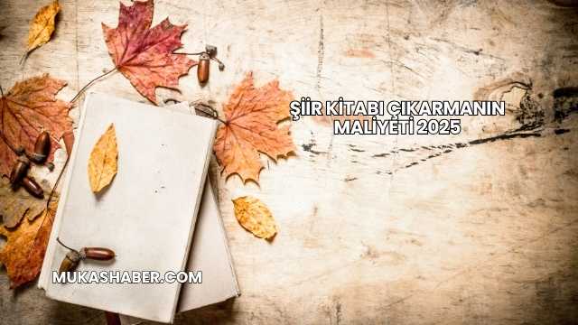 Şiir Kitabı Çıkarmanın Maliyeti 2025