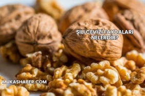 Şili Cevizi Faydaları Nelerdir?