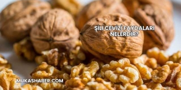 Şili Cevizi Faydaları Nelerdir?