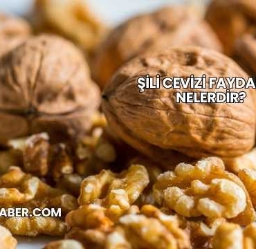 Şili Cevizi Faydaları Nelerdir?