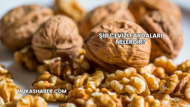 Şili Cevizi Faydaları Nelerdir?
