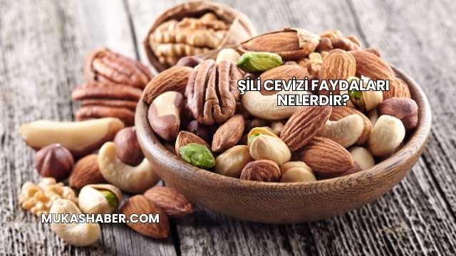 Şili Cevizi Faydaları Nelerdir?
