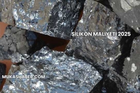 Silikon Maliyeti 2025