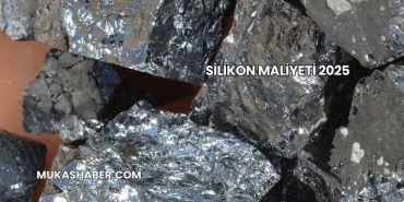 Silikon Maliyeti 2025