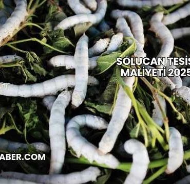 Solucan Tesisi Maliyeti 2025