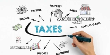 Spesifik Vergi Nedir?