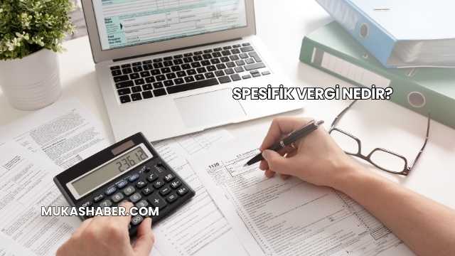 Spesifik Vergi Nedir?