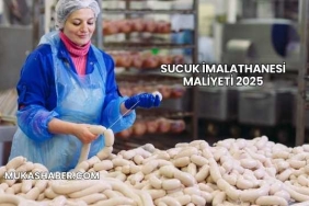 Sucuk İmalathanesi Maliyeti 2025