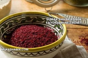 Sumak Baharatının Faydaları Nelerdir?