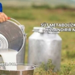 Süt Metabolizmayı Hızlandırır mı?
