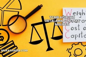 TCMB Ağırlıklı Ortalama Fonlama Maliyeti