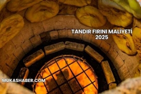 Tandır Fırını Maliyeti 2025