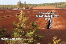 Tarladan Su Çıkarma Maliyeti 2025