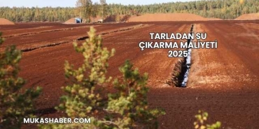 Tarladan Su Çıkarma Maliyeti 2025