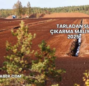 Tarladan Su Çıkarma Maliyeti 2025