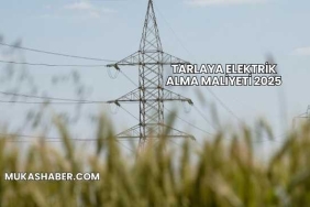 Tarlaya Elektrik Alma Maliyeti 2025