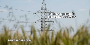 Tarlaya Elektrik Alma Maliyeti 2025