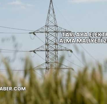 Tarlaya Elektrik Alma Maliyeti 2025