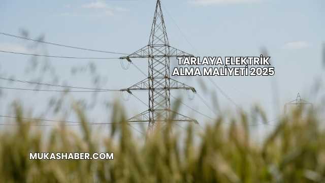 Tarlaya Elektrik Alma Maliyeti 2025