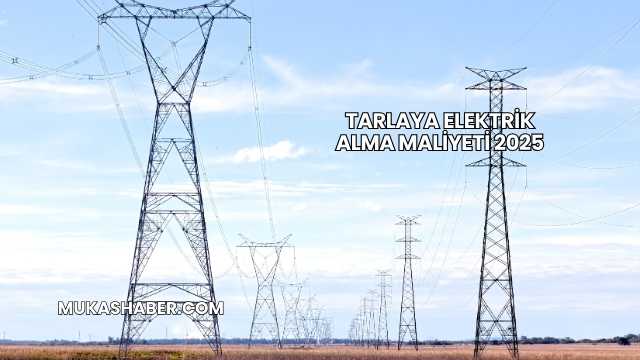Tarlaya Elektrik Alma Maliyeti 2025