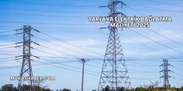 Tarlaya Elektrik Bağlatma Maliyeti 2025