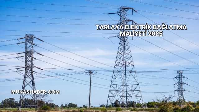 Tarlaya Elektrik Bağlatma Maliyeti 2025