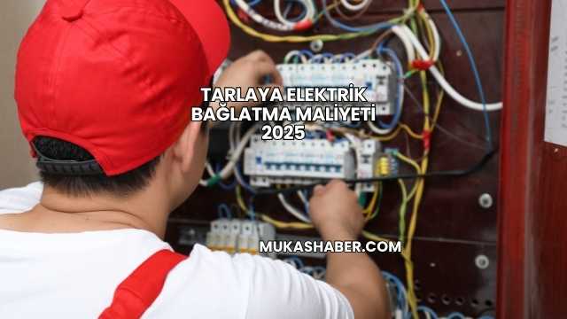 Tarlaya Elektrik Bağlatma Maliyeti 2025