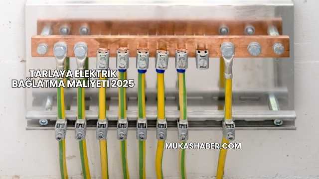 Tarlaya Elektrik Bağlatma Maliyeti 2025