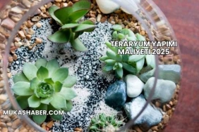 Teraryum Yapımı Maliyeti 2025