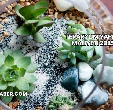 Teraryum Yapımı Maliyeti 2025