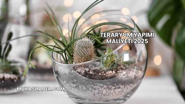 Teraryum Yapımı Maliyeti 2025