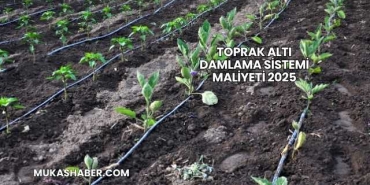 Toprak Altı Damlama Sistemi Maliyeti 2025