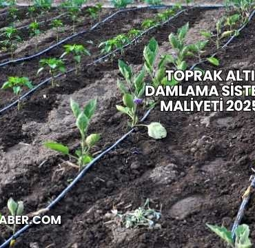 Toprak Altı Damlama Sistemi Maliyeti 2025