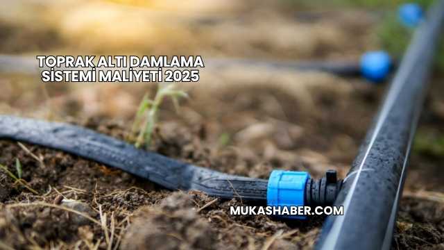 Toprak Altı Damlama Sistemi Maliyeti 2025