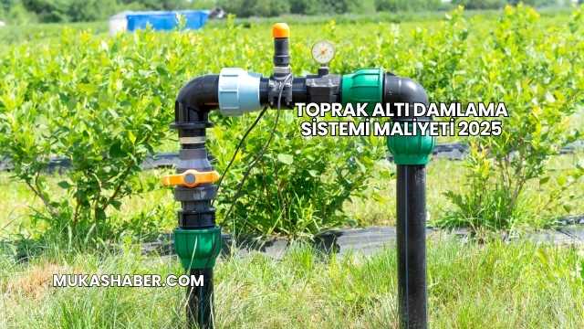 Toprak Altı Damlama Sistemi Maliyeti 2025