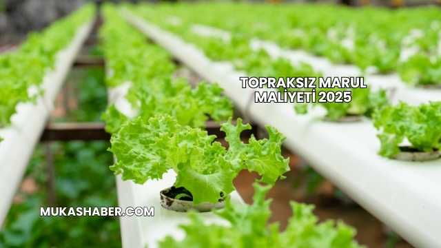 Topraksız Marul Maliyeti 2025