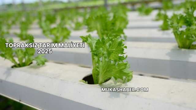 Topraksız Tarım Maliyeti 2025