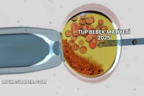 Tüp Bebek Maliyeti 2025