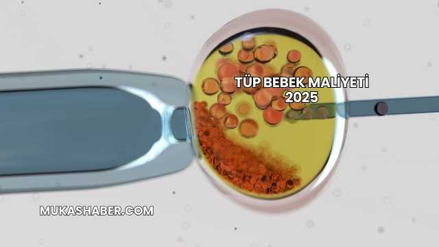 Tüp Bebek Maliyeti 2025