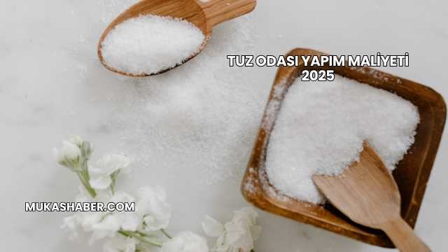 Tuz Odası Yapım Maliyeti 2025