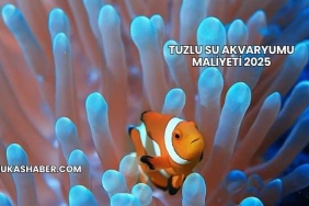 Tuzlu Su Akvaryumu Maliyeti 2025