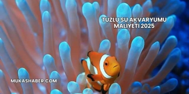 Tuzlu Su Akvaryumu Maliyeti 2025