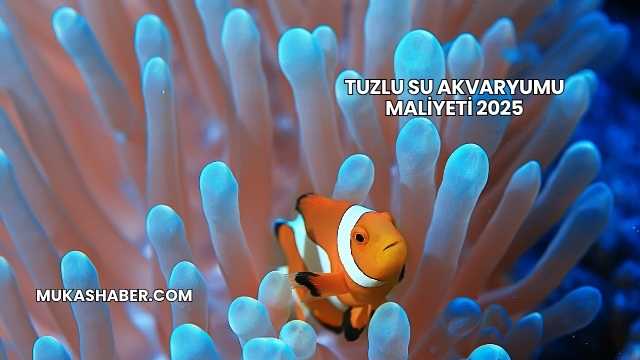 Tuzlu Su Akvaryumu Maliyeti 2025