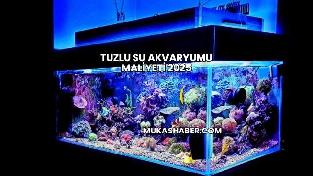 Tuzlu Su Akvaryumu Maliyeti 2025