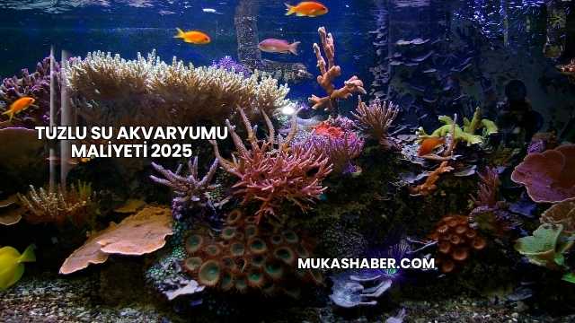 Tuzlu Su Akvaryumu Maliyeti 2025