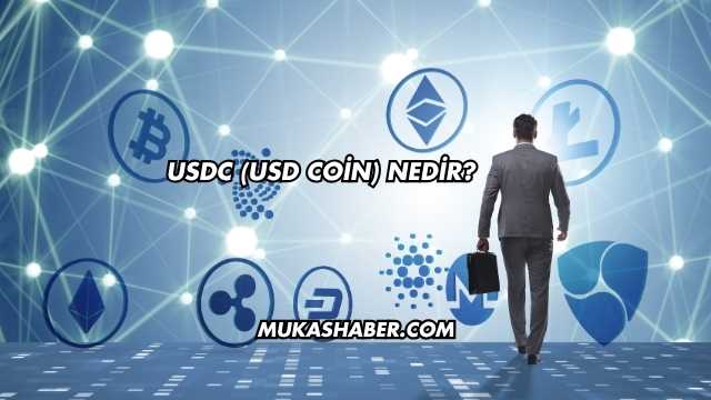 USDC (USD Coin) Nedir?