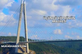 Üçüncü Köprünün Maliyeti